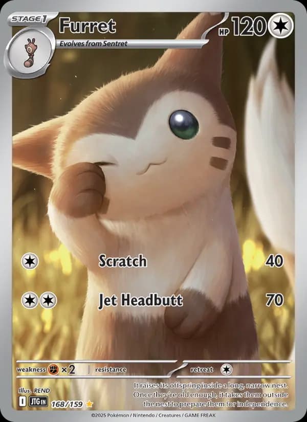 Furret