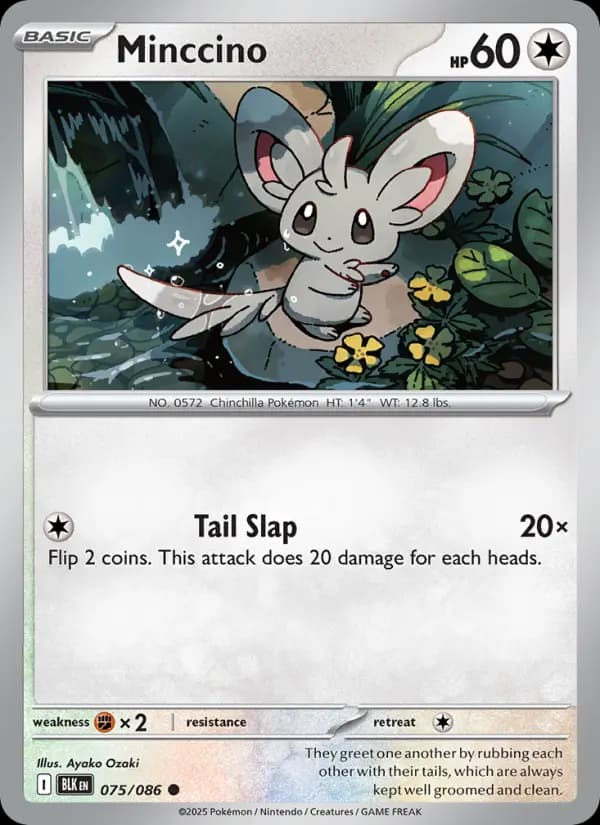 Minccino